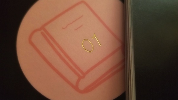 野良手製本道~手製本初心者がもっとはやく知りたかった本づくりのあれこれ~【ZINE】