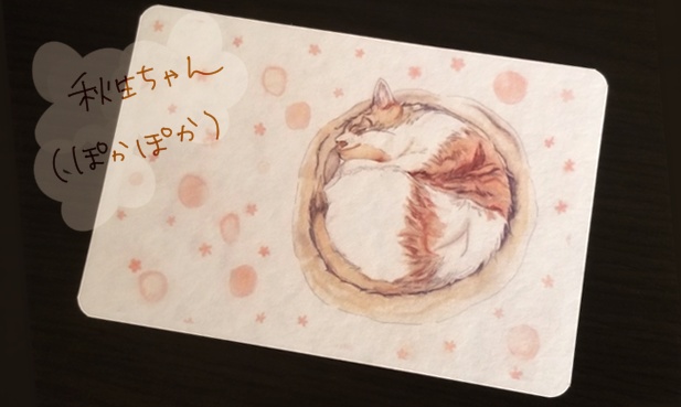 ポストカード『利尻島と猫』