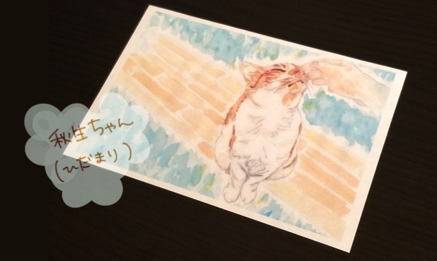 ポストカード『利尻島と猫』