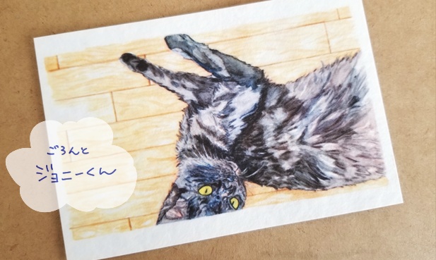 ポストカード『利尻島と猫』