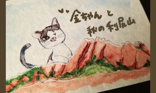 ポストカード『利尻島と猫』