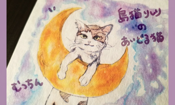 ポストカード『利尻島と猫』