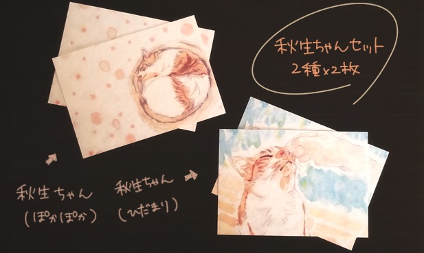 ボールペンが映える一言メッセージカード『利尻島と猫』(4枚入り)