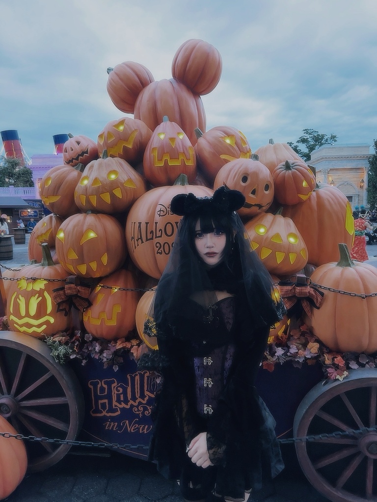 ディズニー チェキ