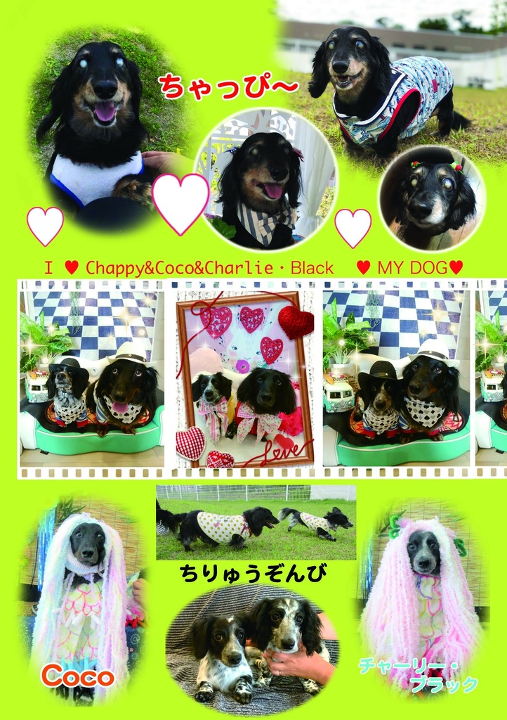 *しっぽの生えた宝物*(愛犬本:第3弾)