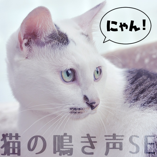【無料/投げ銭】猫の声‐ニャーン5種【SE素材】