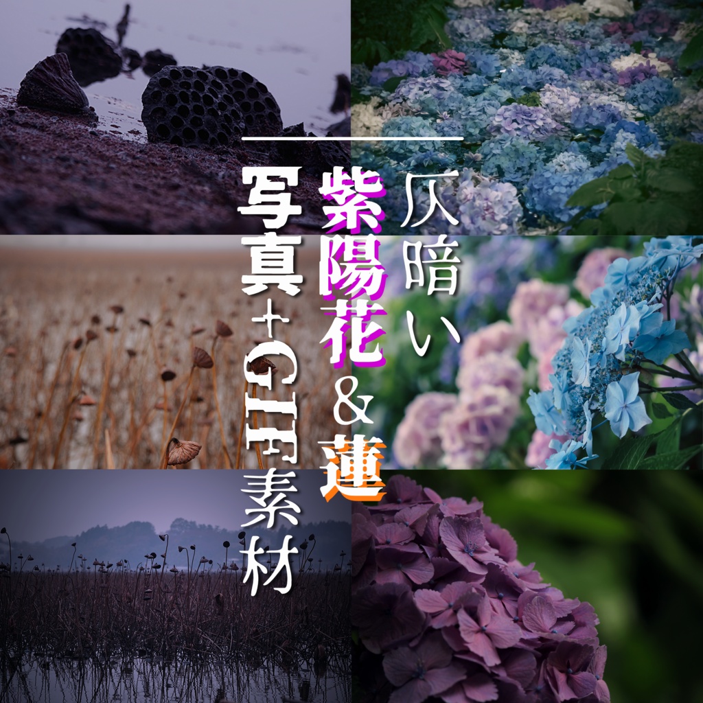 【無料/投げ銭】仄暗い紫陽花&蓮【写真+GIF素材】