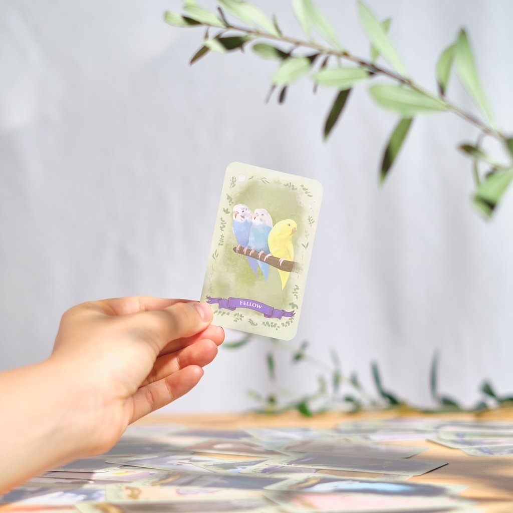 【在庫限り】GARDEN oracle card(ガーデン オラクル カード)