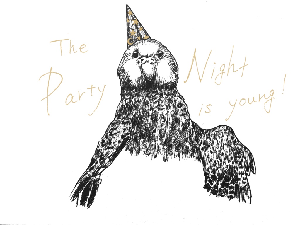 夜はこれから!カカポのサコッシュ【ペン画ver】