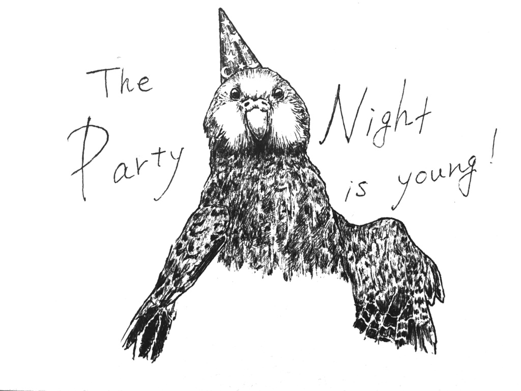 パーティーナイトカカポの小さめトート