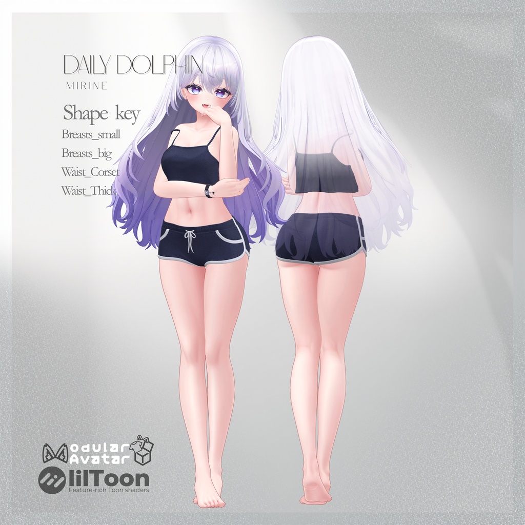 【8アバター対応】 Daily Dolphin 【VRChat】