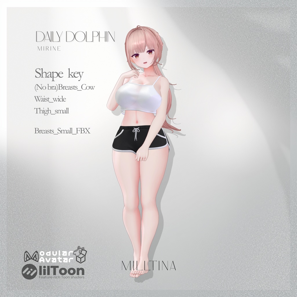 【5アバター対応】 Daily Dolphin 【VRChat】