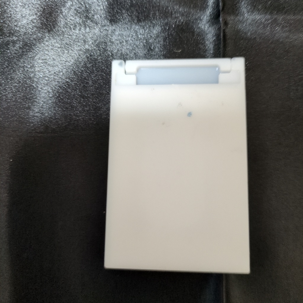 手鏡に映る夜桜