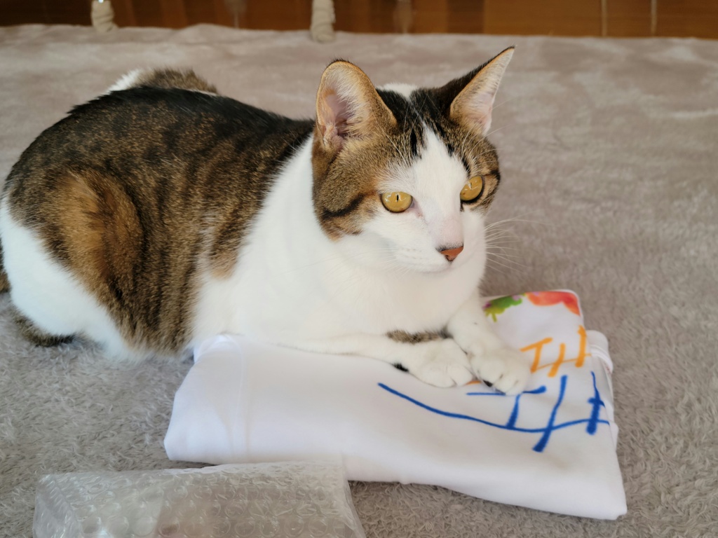 すしおいしいシャツ(しゃけ)