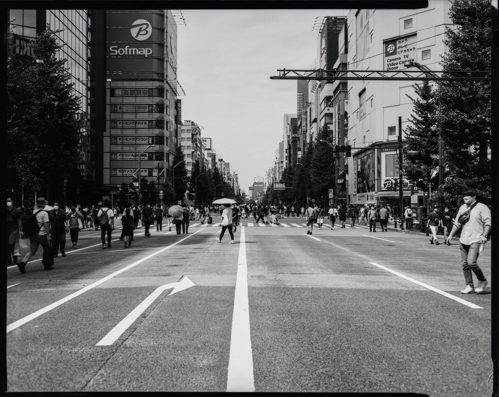 Large Format film Large Format Camera