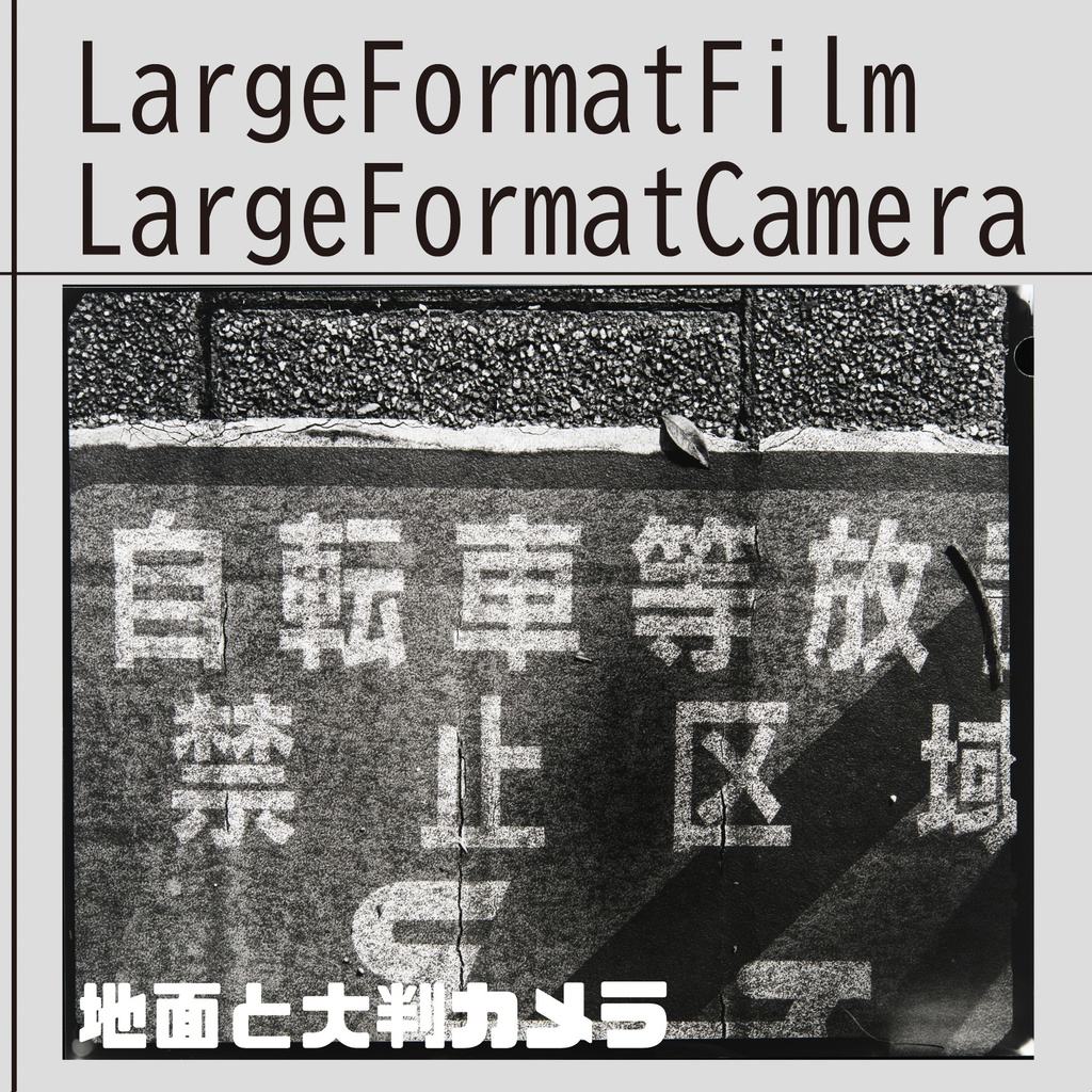 Large Format film Large Format Camera　地面と大判カメラ