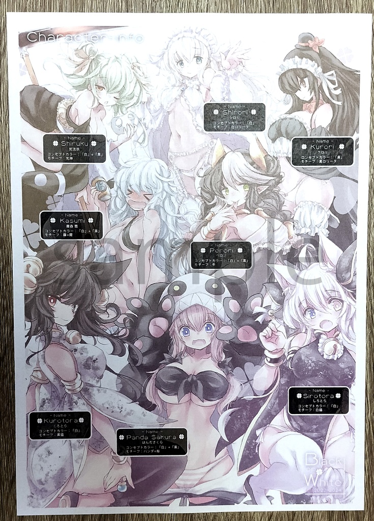 Black or White Re:2022~2024