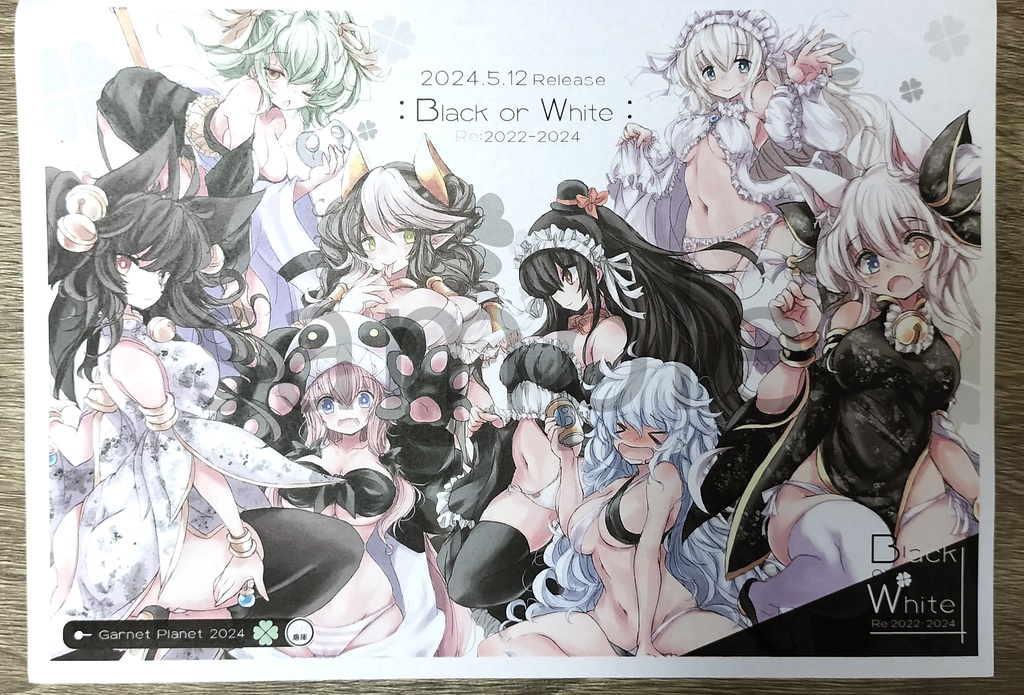 Black or White Re:2022~2024