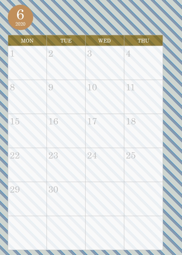 SS入り2020年手帳(ハートの海賊団バージョン)