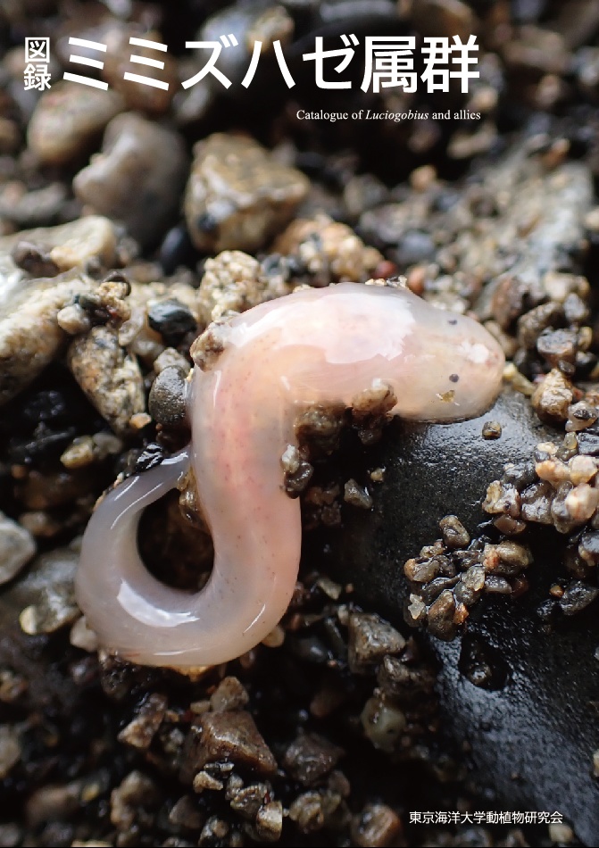 図録　ミミズハゼ属群