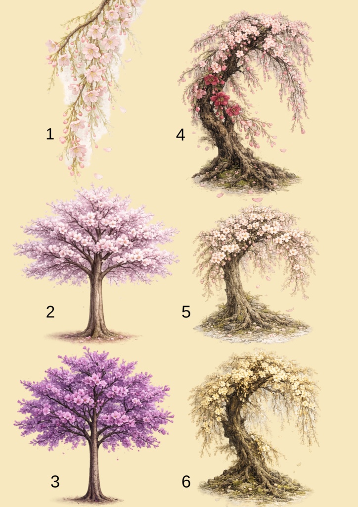 背景透過PNG形式のかわいい桜素材17点セット。桜の木、花、枝を収録しています。