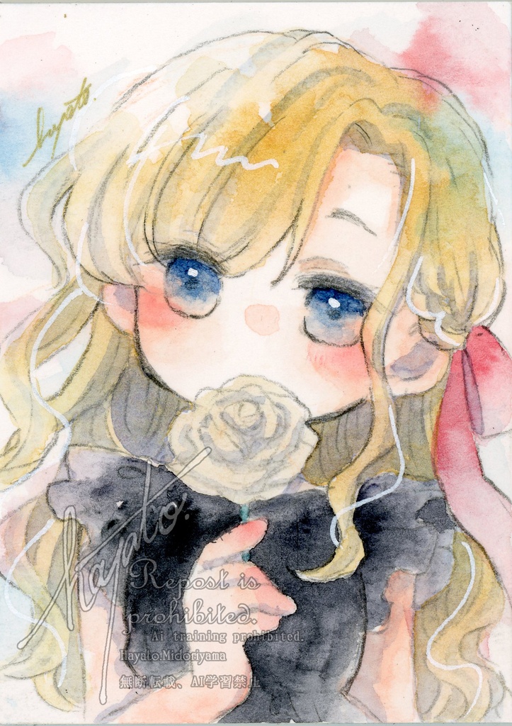 ATC原画　白いバラと少女