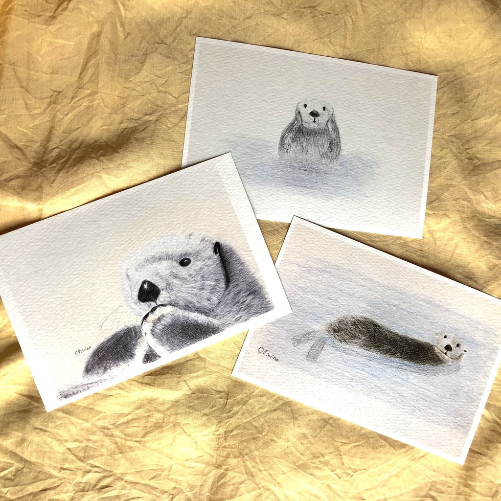 ラッコ オリジナルポストカード3枚セット