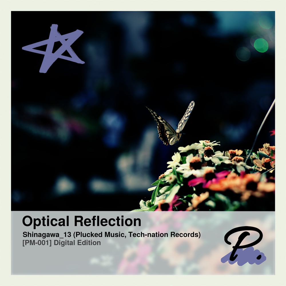 [PM-001] Optical Reflection