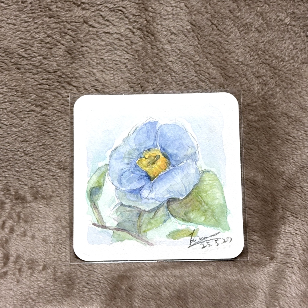 【新】ドローイング