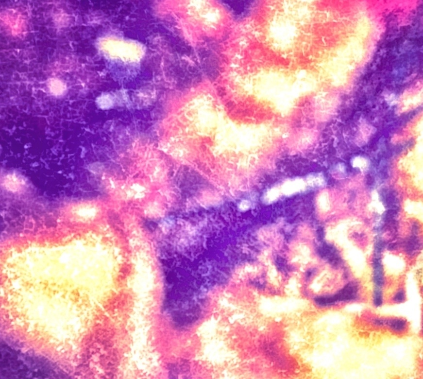 【無料BGM・商用利用可】花筏 instrumental version