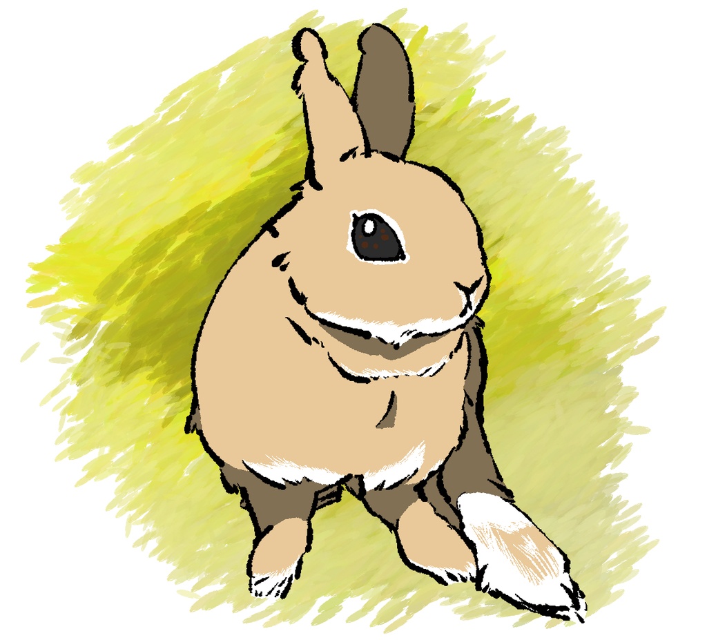 あなたのうさぎ描きます