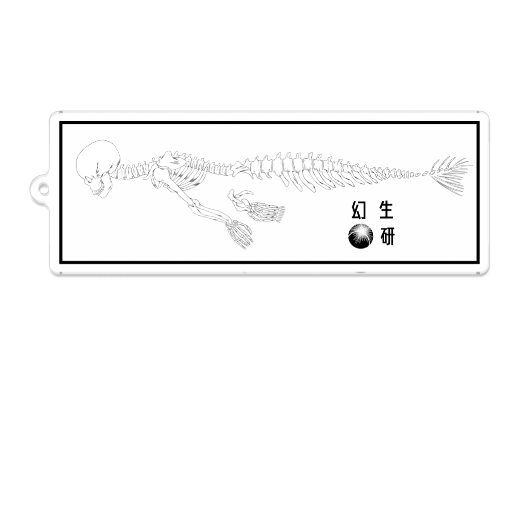 哺乳類型人魚骨格　アクリルキーホルダー