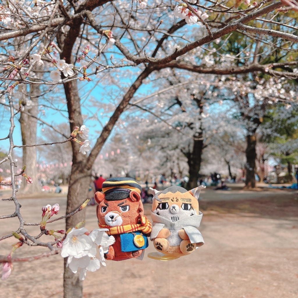 ぬい用ステージ