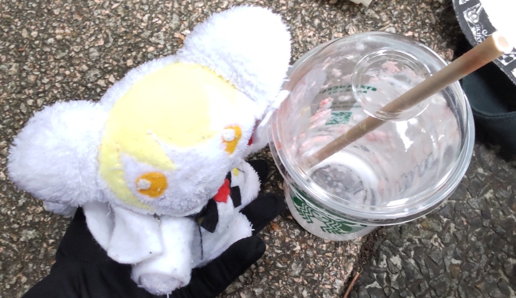 猫ぬいシンクレア