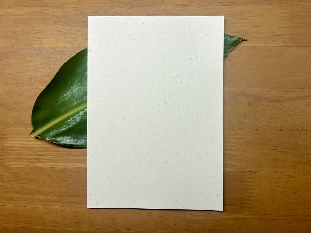 感覚詩集「たった百年ほどの昼」