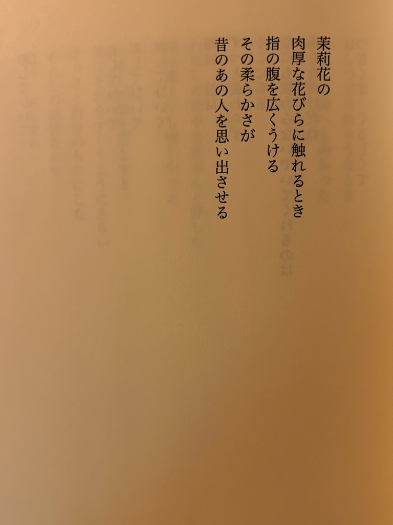 感覚詩集「たった百年ほどの昼」