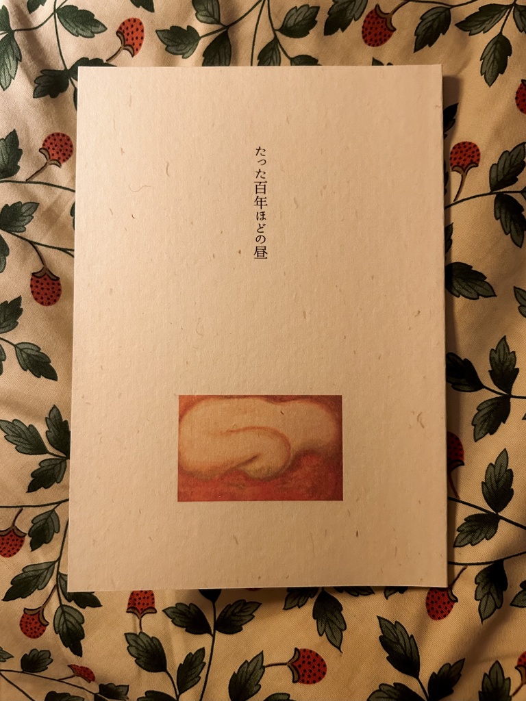 感覚詩集「たった百年ほどの昼」