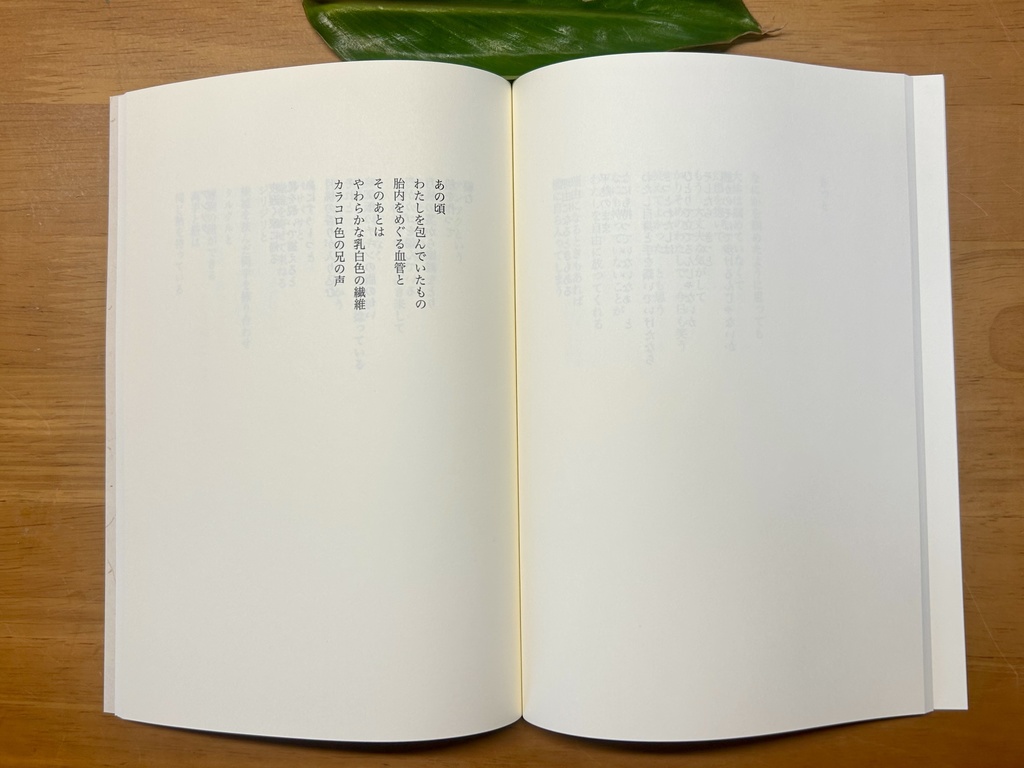 感覚詩集「たった百年ほどの昼」