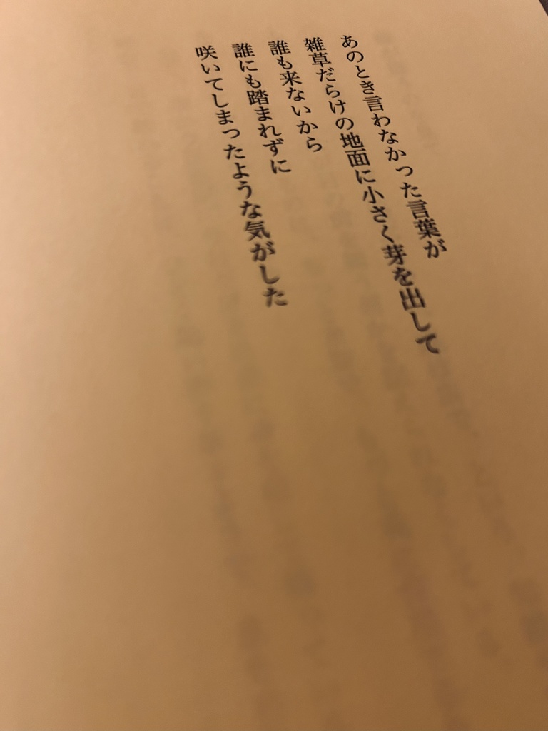 感覚詩集「たった百年ほどの昼」