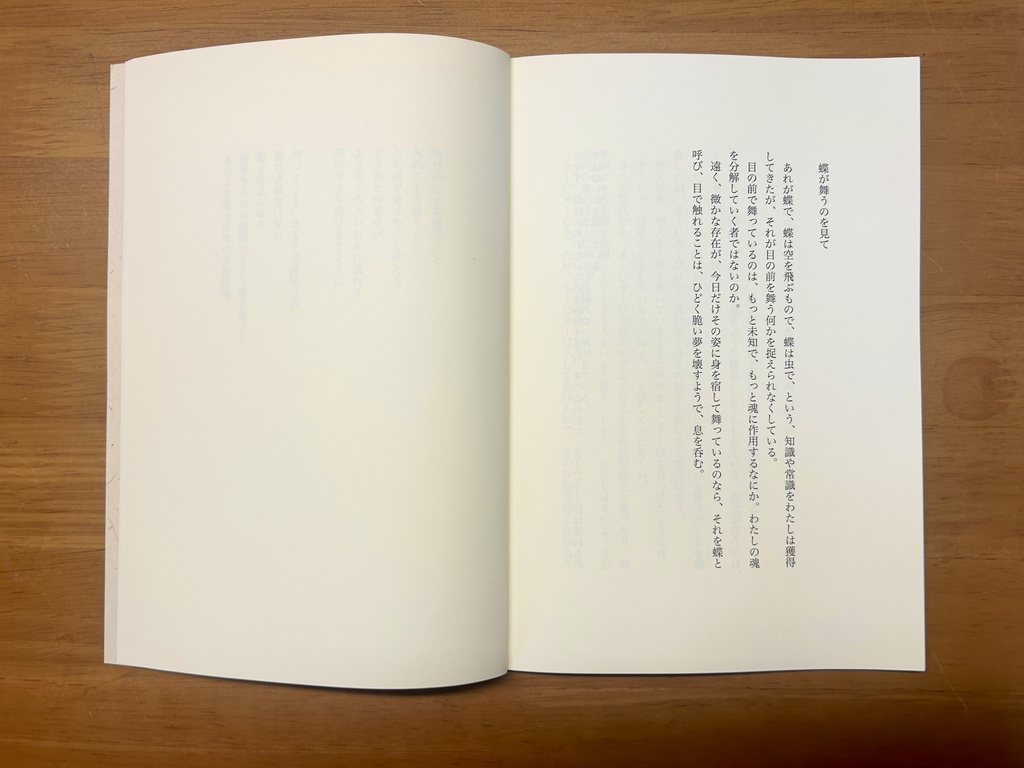 感覚詩集「たった百年ほどの昼」
