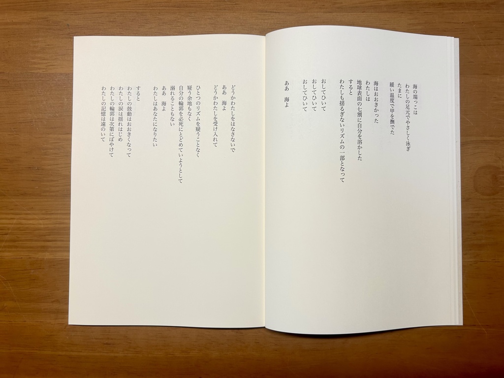 感覚詩集「たった百年ほどの昼」