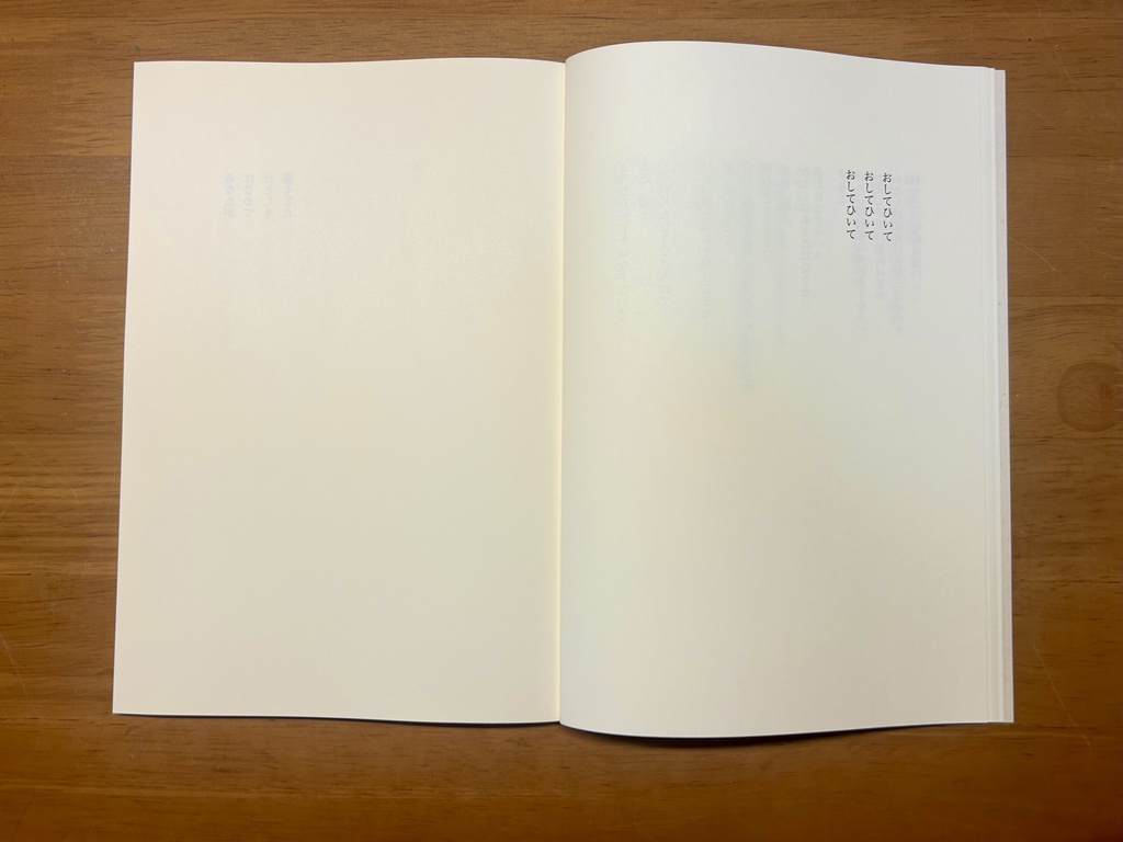 感覚詩集「たった百年ほどの昼」