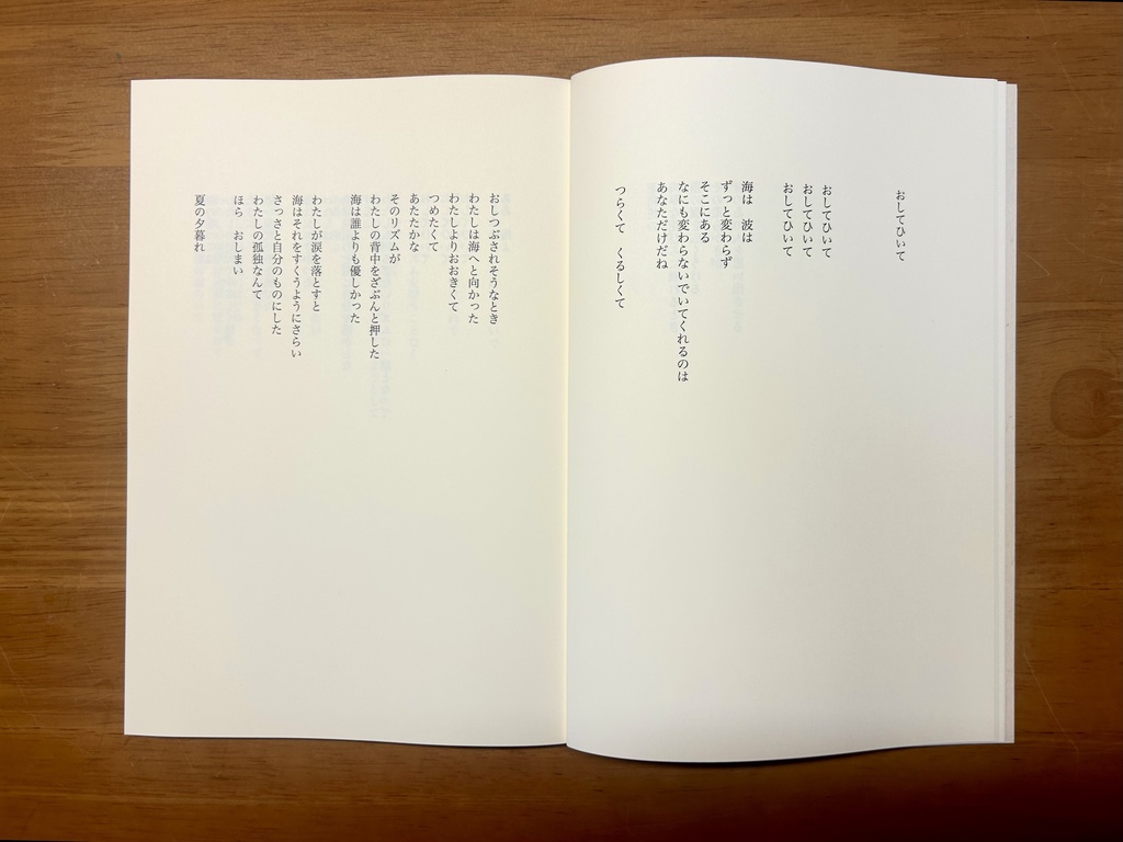 感覚詩集「たった百年ほどの昼」