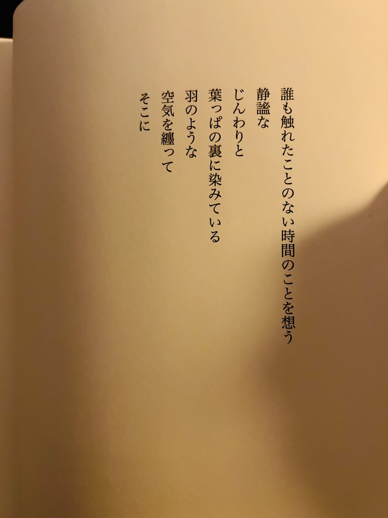 感覚詩集「たった百年ほどの昼」