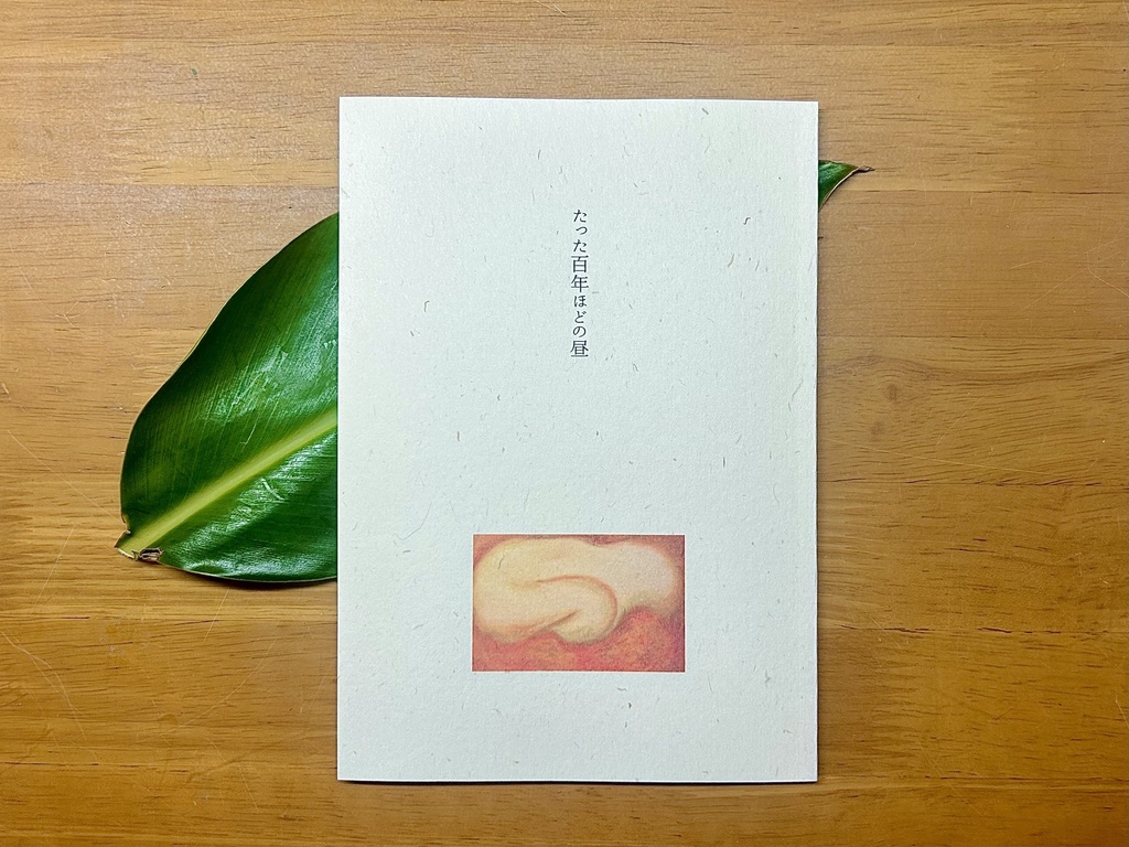 感覚詩集「たった百年ほどの昼」