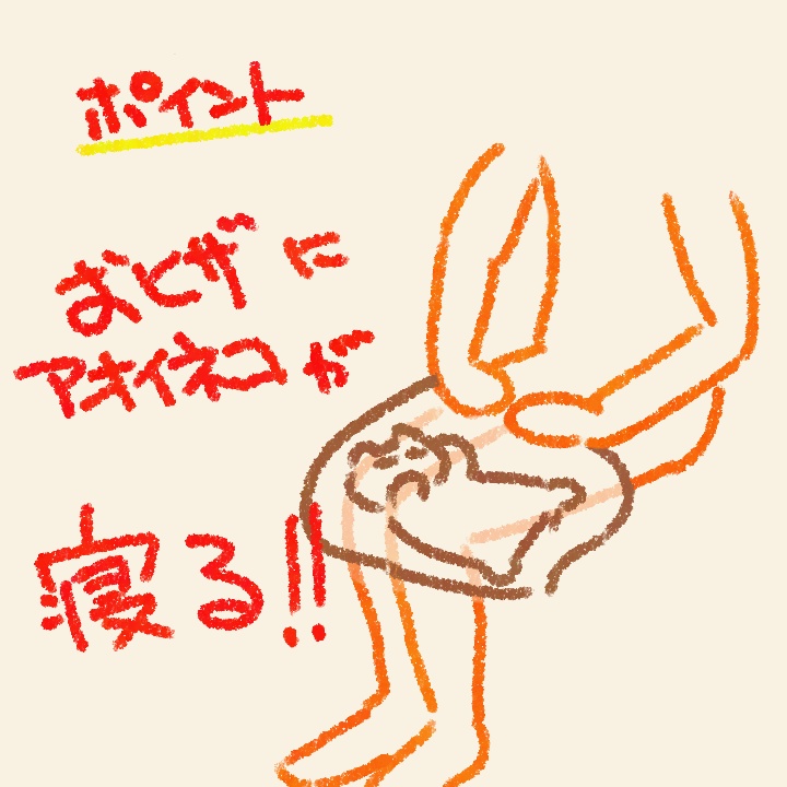 すやすやアオイネコのブランケット