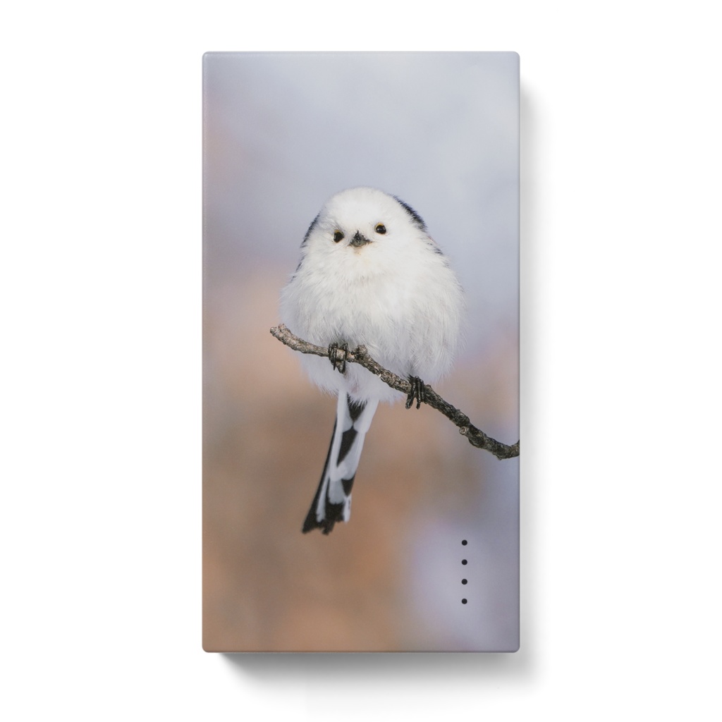 シマエナガのモバイルバッテリー（type 01）