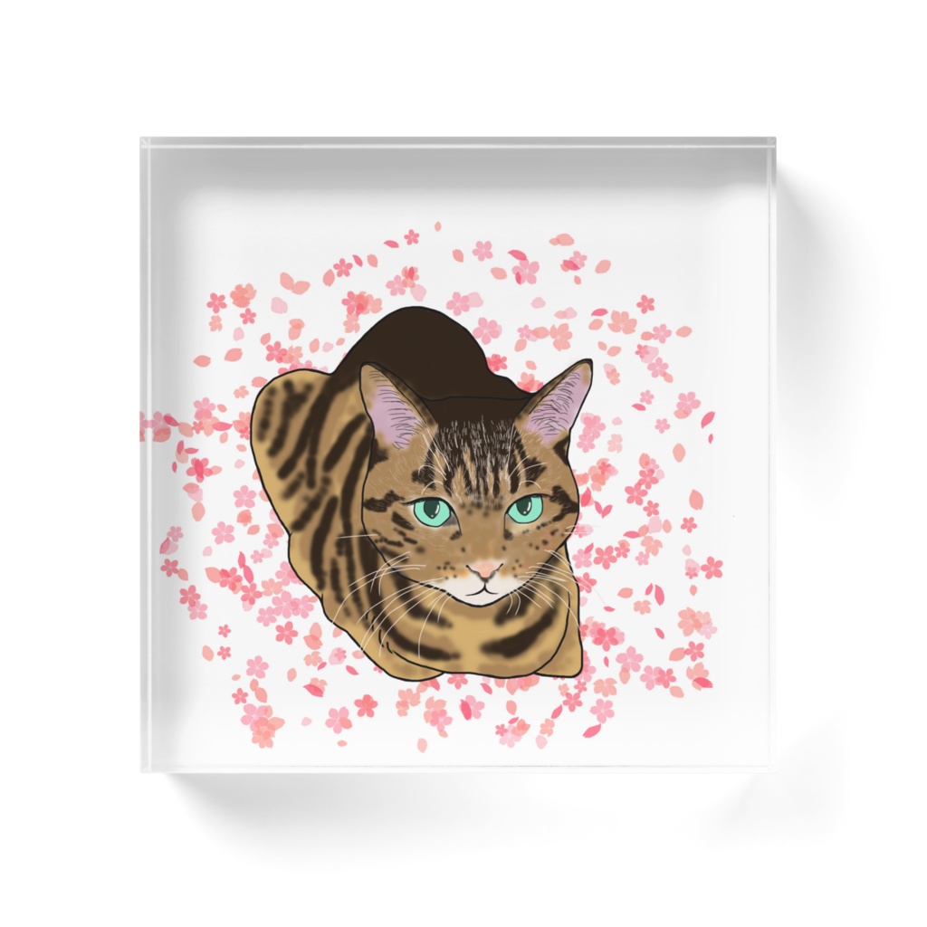 またたび家の「ひめ」ちゃん アクリルブロック