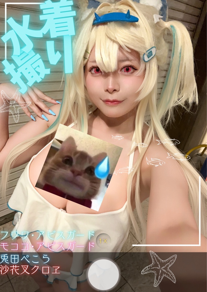 C108 新刊水着撮り  コスプレ写真集