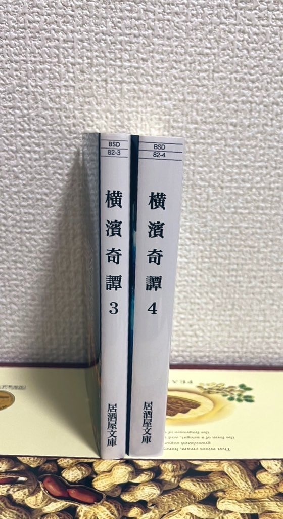 【3・4巻セット】BSDホラー合同誌 横濱奇譚3・4
